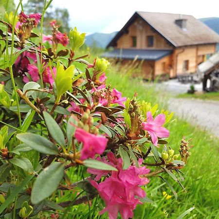 Villa Almhuette Kristabauer Predlitz Esterno foto