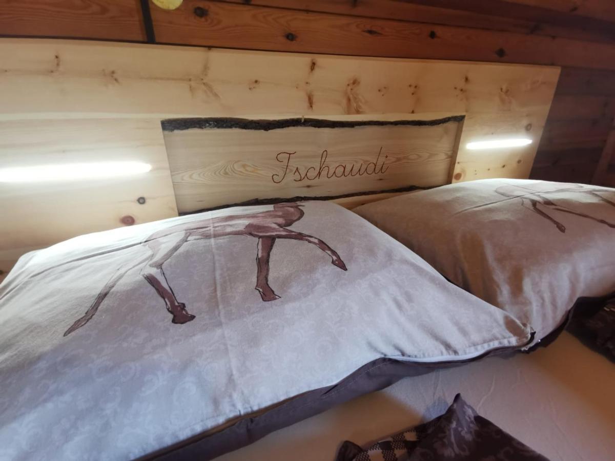 Villa Almhuette Kristabauer Predlitz Esterno foto